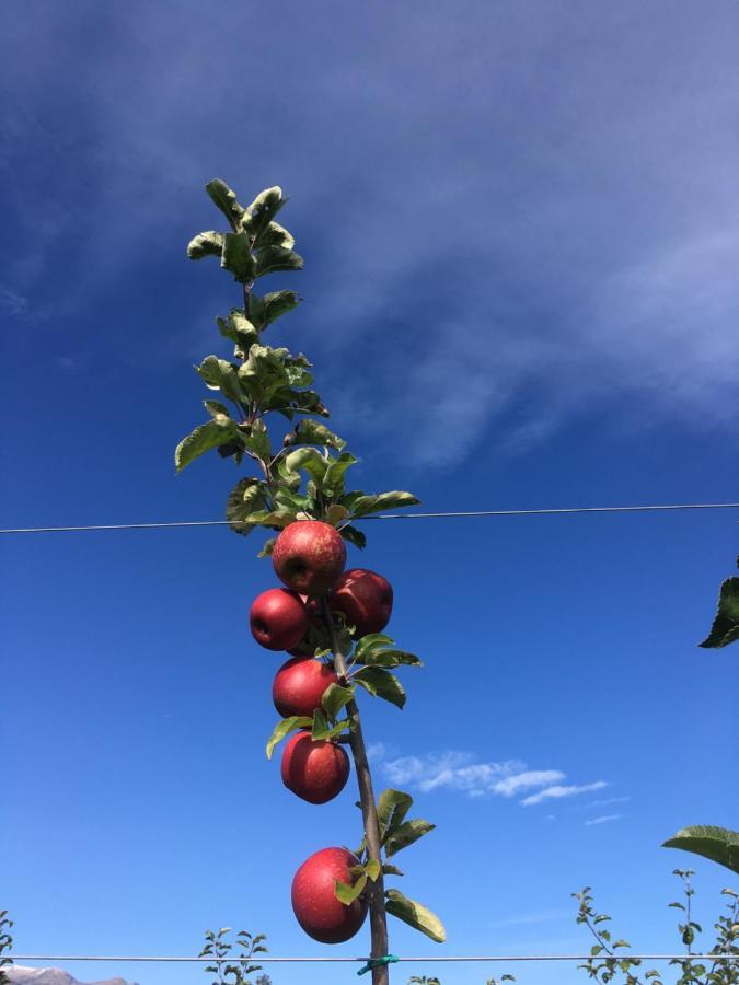 مبيت وإفطار Bricherasio Agrialpi By Salfrutta المظهر الخارجي الصورة