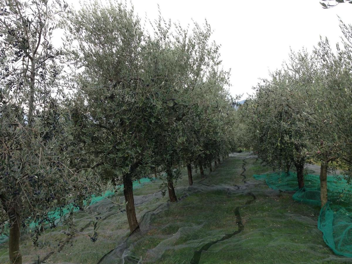 مبيت وإفطار Bricherasio Agrialpi By Salfrutta المظهر الخارجي الصورة